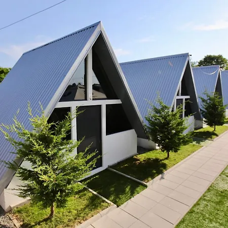 Vld House A Frame *